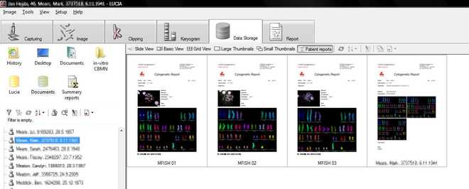 mfish reports in database image